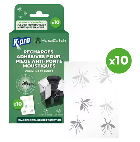 Pro recharges adhesives pour - adhesives,