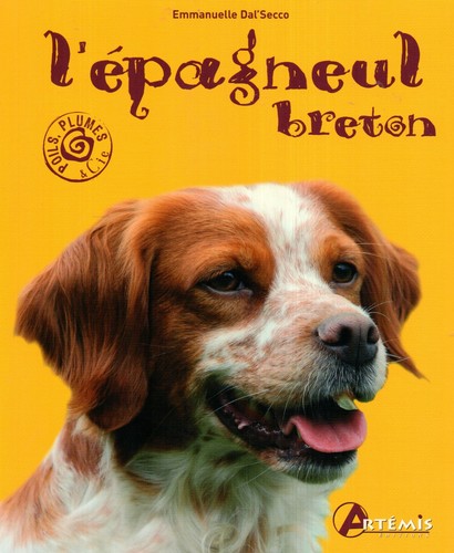 épagneul breton - l',
