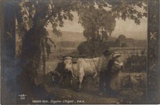 CPA E. CHIGOT Pax Salon de