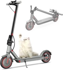 Trotinette Electrique Adulte