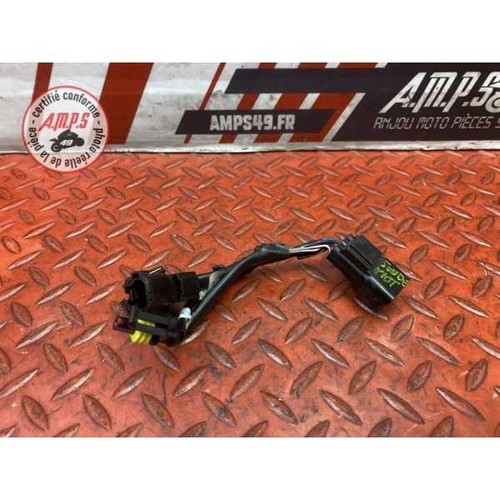 Faisceau sonde moteur - , triumph