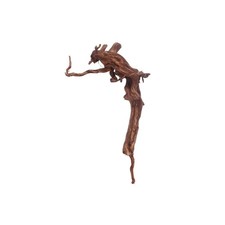 Aquarium Racine Déco Rouge