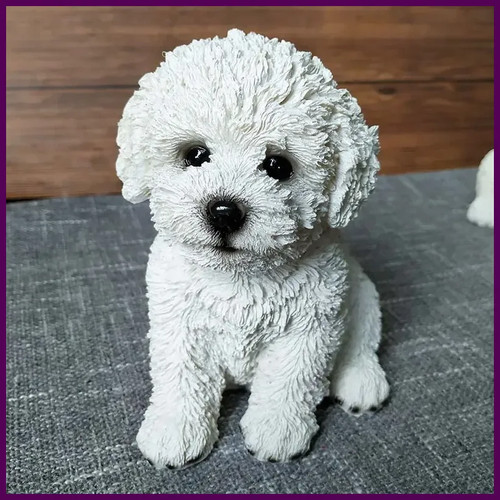 Cute bichon frise - cute,