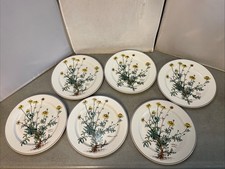 Villeroy & Boch Botanica 6