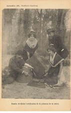 MONTFAVET  - Abeille - Essaim artificiel (vérification de la présence de la