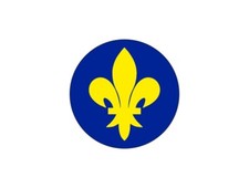 Autocollant sticker voiture moto vinyl drapeau fleur de lys r8