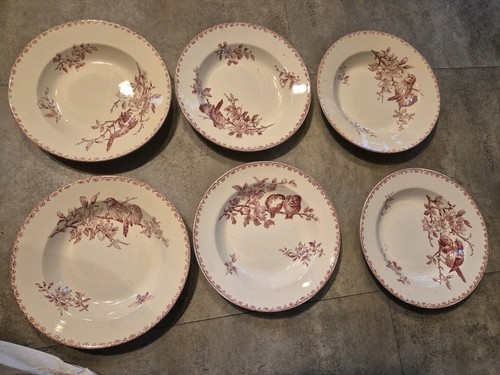 Assiettes creuses - 6,