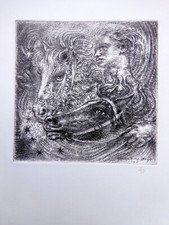 Le Cheval et l'Image LA