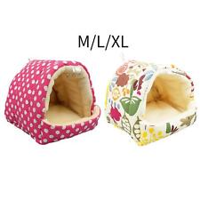 Maison pour cochon d'Inde