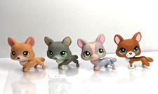 Lot PETSHOP LPS CHIEN CORGI