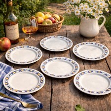 Lot de 6 assiettes plates
