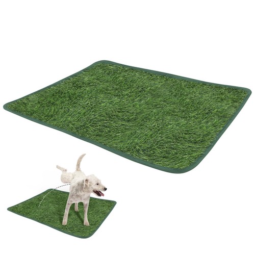 Tapis pipi chien - tapis,