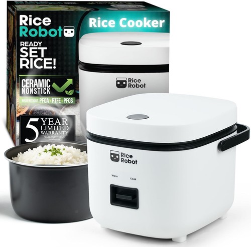 Rice robot personal - rice, qt