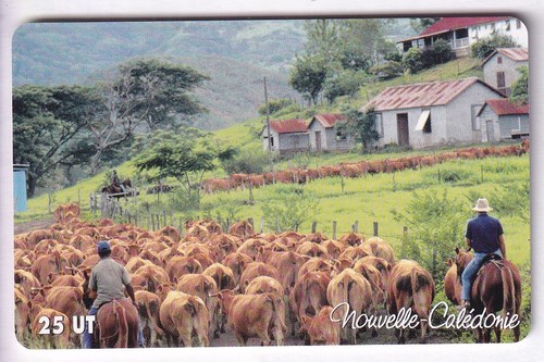 Nouvelle caledonie - caledonie, /