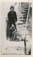 PHOTO ANCIENNE - VINTAGE SNAPSHOT - CHIEN CHIOT LABRADOR ESCALIER DRÔLE - DOG