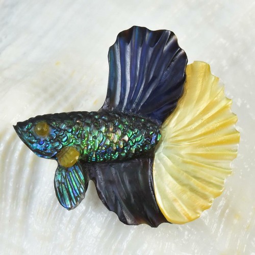 Siamois combattant poisson - siamois,