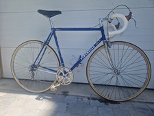 Pinarello treviso campagnolo