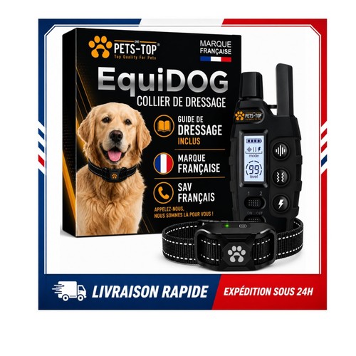 Collier dressage chien