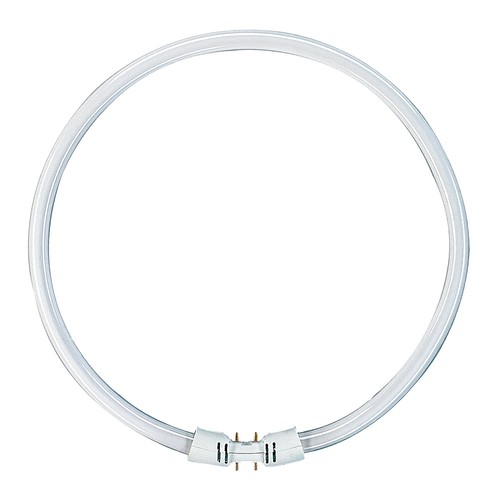 Lampe fluorescente donut - fluorescente,