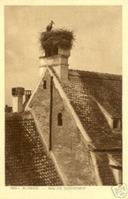 cpa alsace nid de cigognes