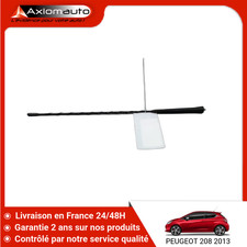 🇫🇷 BRIN ANTENNE PEUGEOT