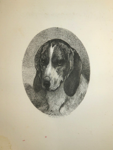 Godefroy jadin eau - godefroy,
