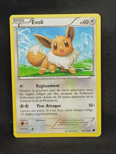 Evoli b glaciation plasma - evoli,