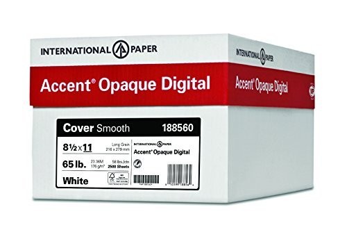 Accent opaque white x - 8.5”,