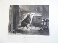 Landseer litho - landseer, (1802-1873)