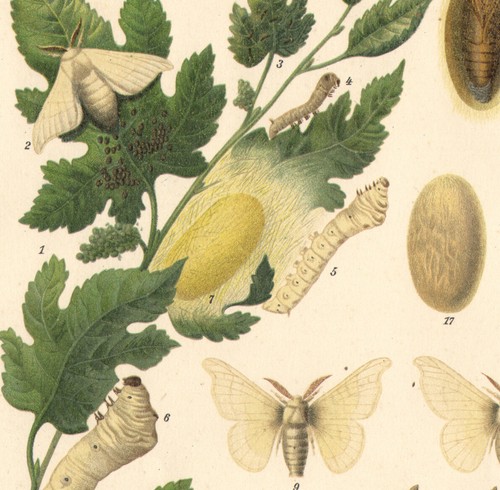 1897 lithographie originale - 1897,