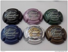 SERIE DE 6 CAPSULES DE