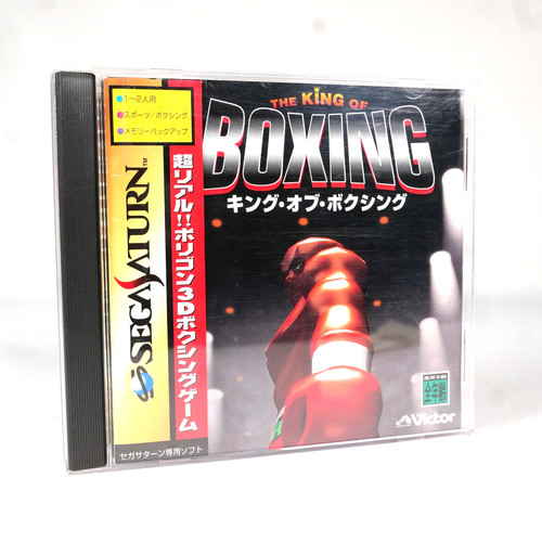 The king fighter - fighter, victory