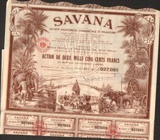 TOP DECO => SAVANA (BORDEAUX PONDICHÉRY INDE) (L)