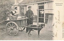 PAYS BAS #FG58813 ATTELAGE