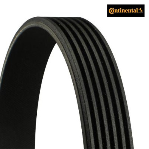 Ribbed belt continental ctam - continental,