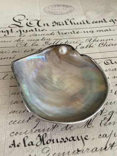 Cendrier coquille nacre - en,