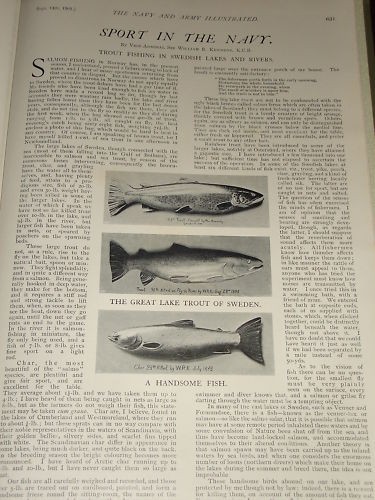 1901 article pêche à - 1901, ~