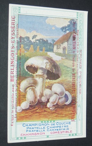Chromo 1900 1914 - chromo, 1900-1914