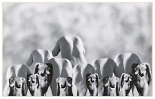 A.A. Dutton, photomontage  Tirage argentique d'époque  15,5x24  Circa 1970