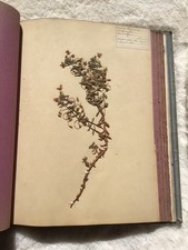 RARE LIVRE HERBIER ANCIEN 1879
