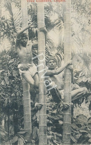 Historique carte postale - historique,
