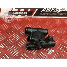 Calorstat Ducati Panigale V4 2018 2019