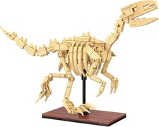 CaDA C59014W Fossile de