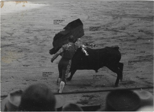Toréadors taureaux photos - toréadors,