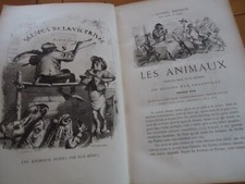 RARE VIE PRIVEE DES ANIMAUX
