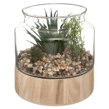 Terrarium en Verre & Bois "Brito" 17cm Transparent