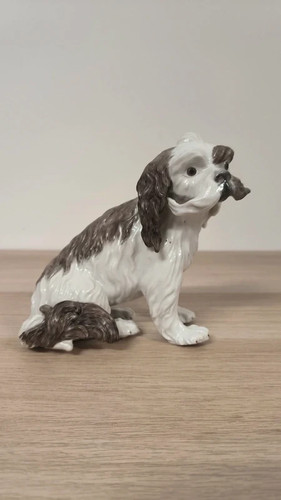 Cavalier king charles - king, charles-edmé