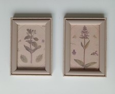 Vintage illustration botanique