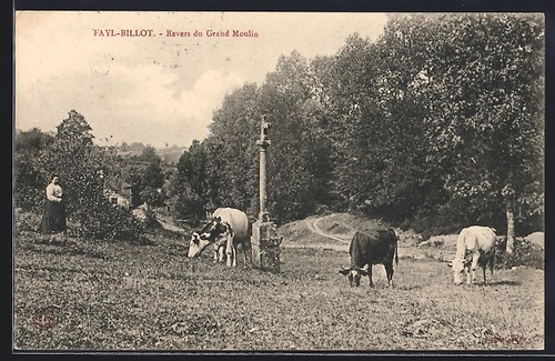 Cpa fayl billot - cpa, revers