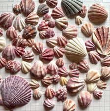 ensemble japonais de